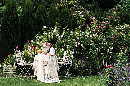 浪漫,桌子,咖啡,玫瑰园