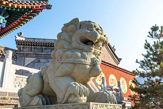 中国古代的石狮子