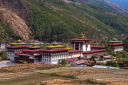 俯瞰,上方,宗派寺院,皇宫,廷布,不丹