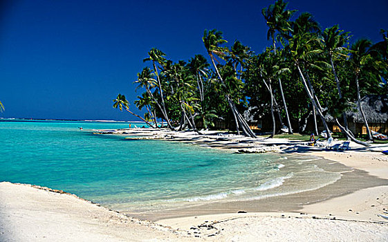 珍珠海滩,胜地,波拉岛,法属玻利尼西亚