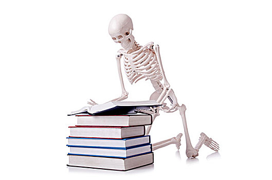 骨骼,读书,白色背景
