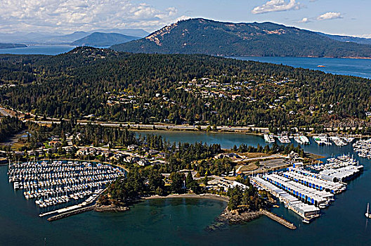 码头,俯视,靠近,温哥华岛,不列颠哥伦比亚省,加拿大