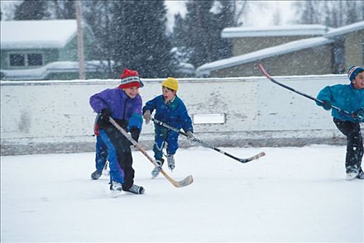 孩子,玩,冰球,冰,滑冰场,冬天,俯视