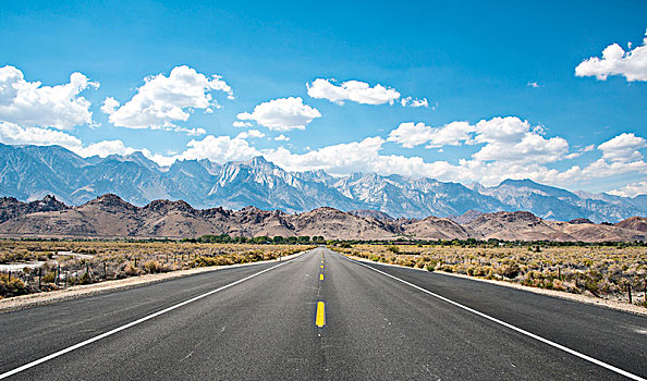 公路,孤单,松树,内华达山脉,山,加利福尼亚,美国,北美