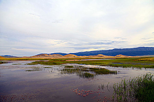 鸣沙山湿地风光