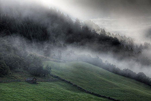 早晨,雾,靠近,伦高,萨尔茨堡州,萨尔茨堡,奥地利,欧洲