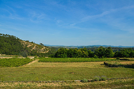 美景,小村庄,葡萄园,法国南部