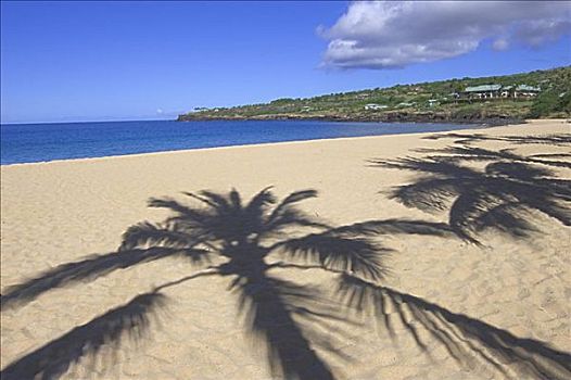 夏威夷,海滩,棕榈树,影子,曼内雷,湾