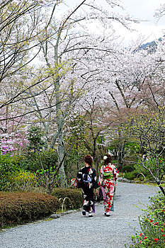 日本,靠近,京都,岚山,庙宇,女人,和服