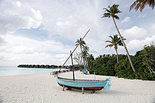 老,船,海滩,全球,胜地,环礁,马尔代夫,印度洋