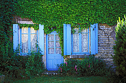 房子,蓝色,百叶窗,绿色植物