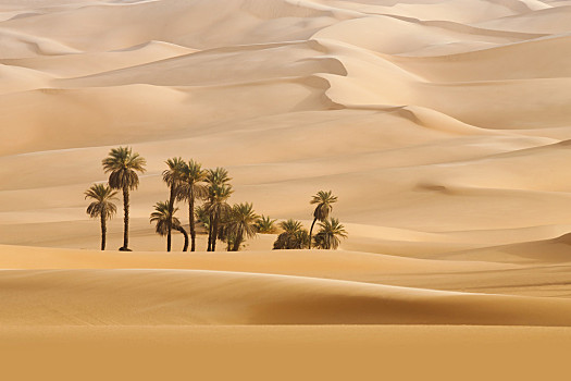 热带沙漠气候景观图图片