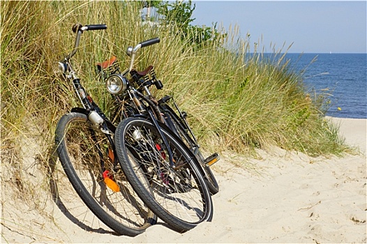 两个,自行车,夏天,海滩
