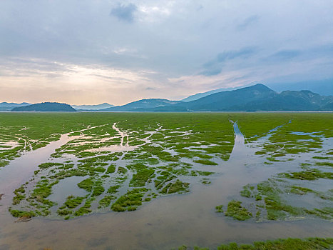 庐山风景