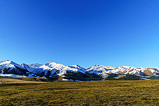 那拉提牧场的草原与雪山