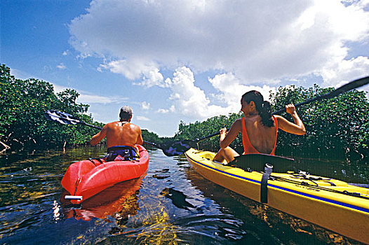 海上皮划艇,红树林,浅,岛屿,巴哈马