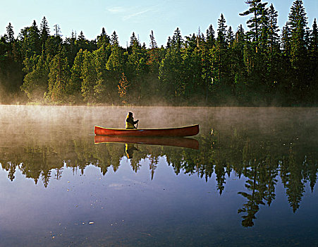 女人,红色,独木舟,早晨,薄雾,小,湖,苏必利尔湖省立公园,安大略省,加拿大