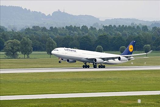 空中客车,a340,起飞,汉莎航空公司,慕尼黑机场,巴伐利亚,德国,欧洲