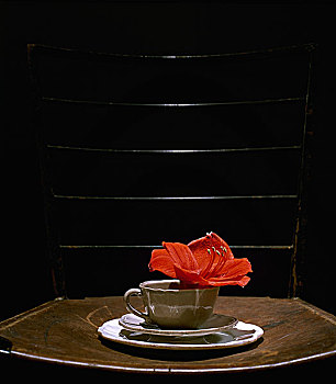 特写,红色,兰花,咖啡杯,木椅