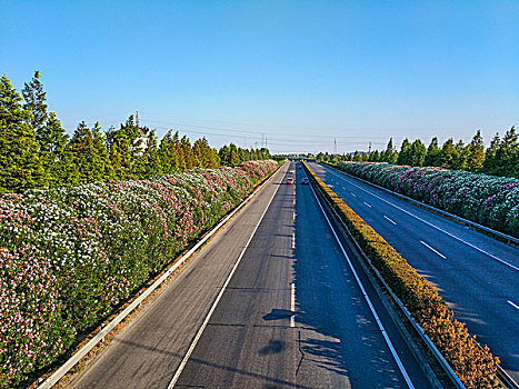 路,高速公路