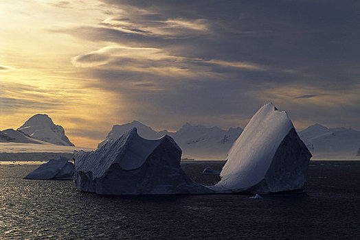 南极,半岛,区域,夜光,冰山