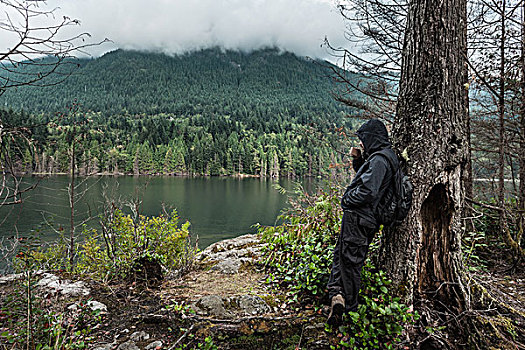 男人,穿,防水,衣服,树,不列颠哥伦比亚省,加拿大