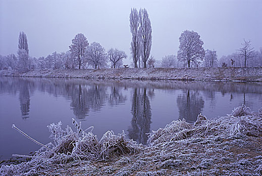 湖,冬天,捷克共和国