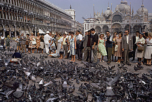 一堆,喂食,鸽子,广场,威尼斯,意大利,人,历史