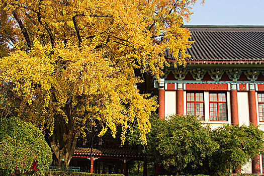 南京师范大学