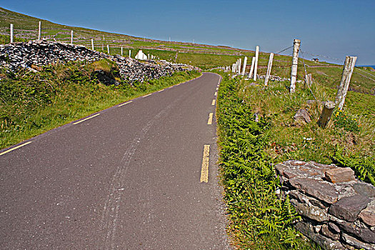 公路,斯莱角,丁格尔半岛,凯瑞郡,爱尔兰