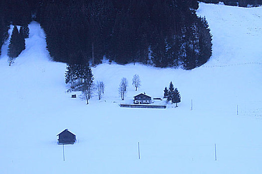 雪景