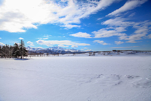 北海道无人雪景