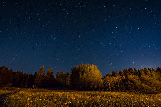 夜晚,风景,星光