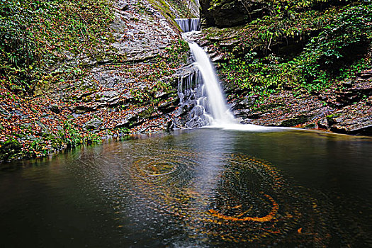 红叶,流水