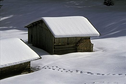 两个,木质,小屋,雪地,木柴,墙壁,脚步,雪中,靠近,奥伯斯多夫,巴伐利亚,德国
