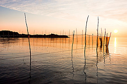 日出,后面,鱼梁,网,大马南岛,芬地湾,新布兰斯维克,加拿大