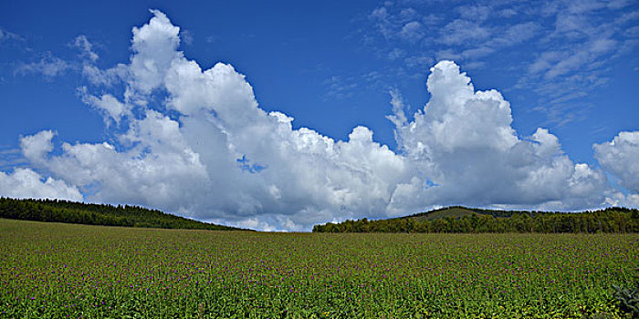 阿尔山