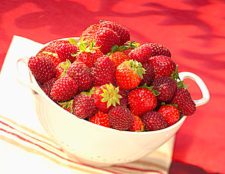草莓,树莓,滤器