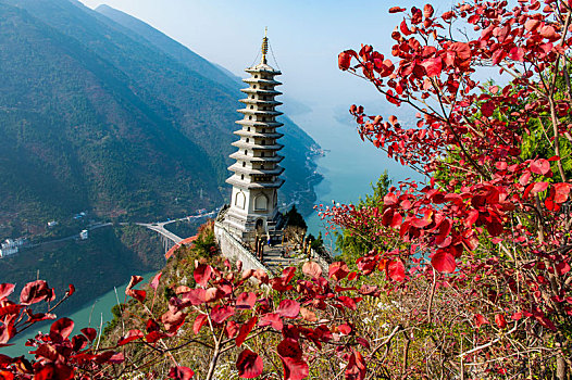 重庆巫山,红叶满山,游客如织