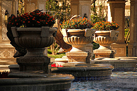 房地产,罗马,欧式园林,罗马柱,喷泉,花圃