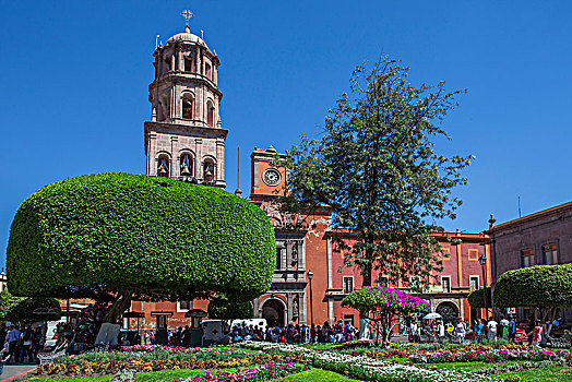 墨西哥州,克雷塔罗,旧金山,教堂,寺院,17世纪,巴洛克,花园