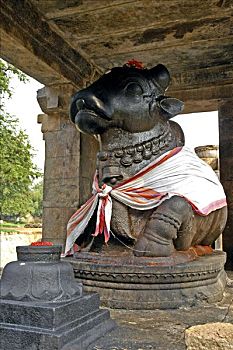 公牛,庙宇,泰米尔纳德邦,印度