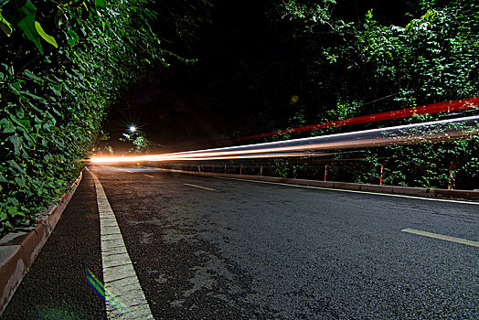 夜晚森林道路