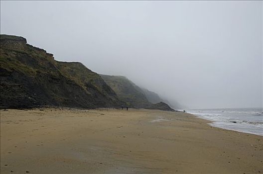 侏罗纪海岸,悬崖,靠近,东方,德文郡,海岸,英格兰
