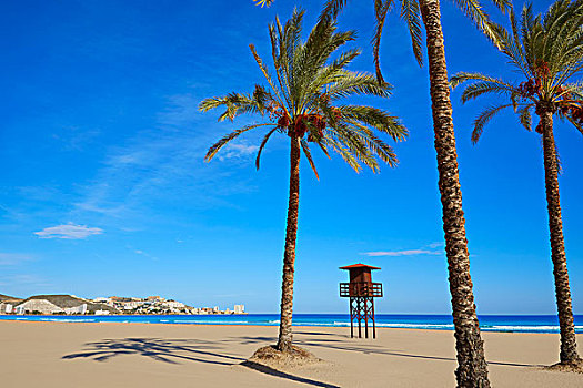 海滩,圣安东尼奥,瓦伦西亚,西班牙