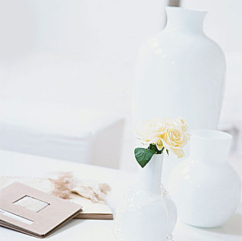 静物,黄玫瑰,相册,花瓶