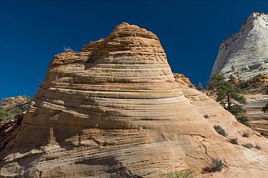 砂岩,山,上面,卡梅尔公路,锡安国家公园,犹他,美国