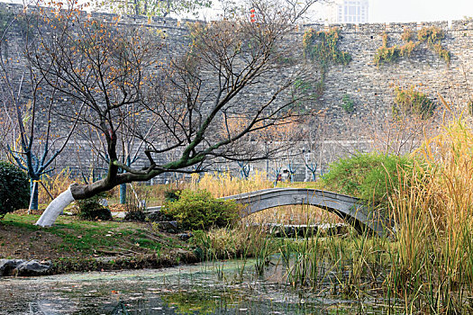 南京玄武湖公园城墙根景色