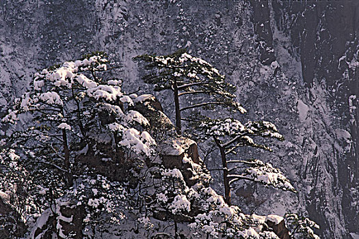 山,黄山,安徽