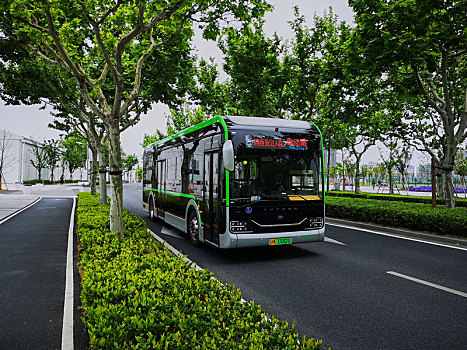 上海西岸新能源巴士白天1